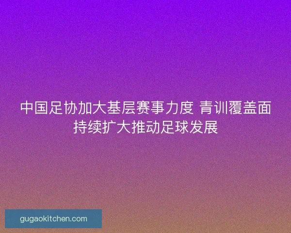 中国足协加大基层赛事力度 青训覆盖面持续扩大推动足球发展