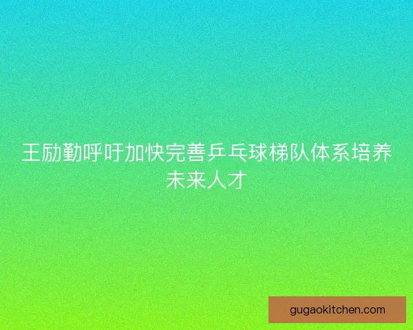 王励勤呼吁加快完善乒乓球梯队体系培养未来人才
