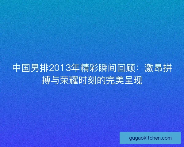 中国男排2013年精彩瞬间回顾：激昂拼搏与荣耀时刻的完美呈现