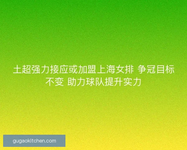土超强力接应或加盟上海女排 争冠目标不变 助力球队提升实力