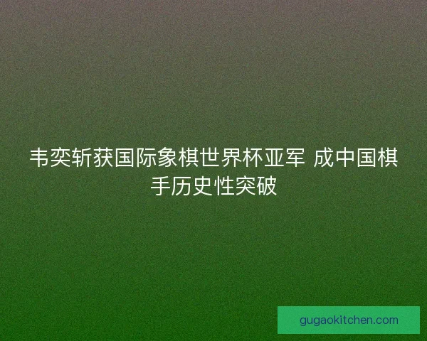 韦奕斩获国际象棋世界杯亚军 成中国棋手历史性突破